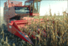 thumb_agriculture_corn_harvester